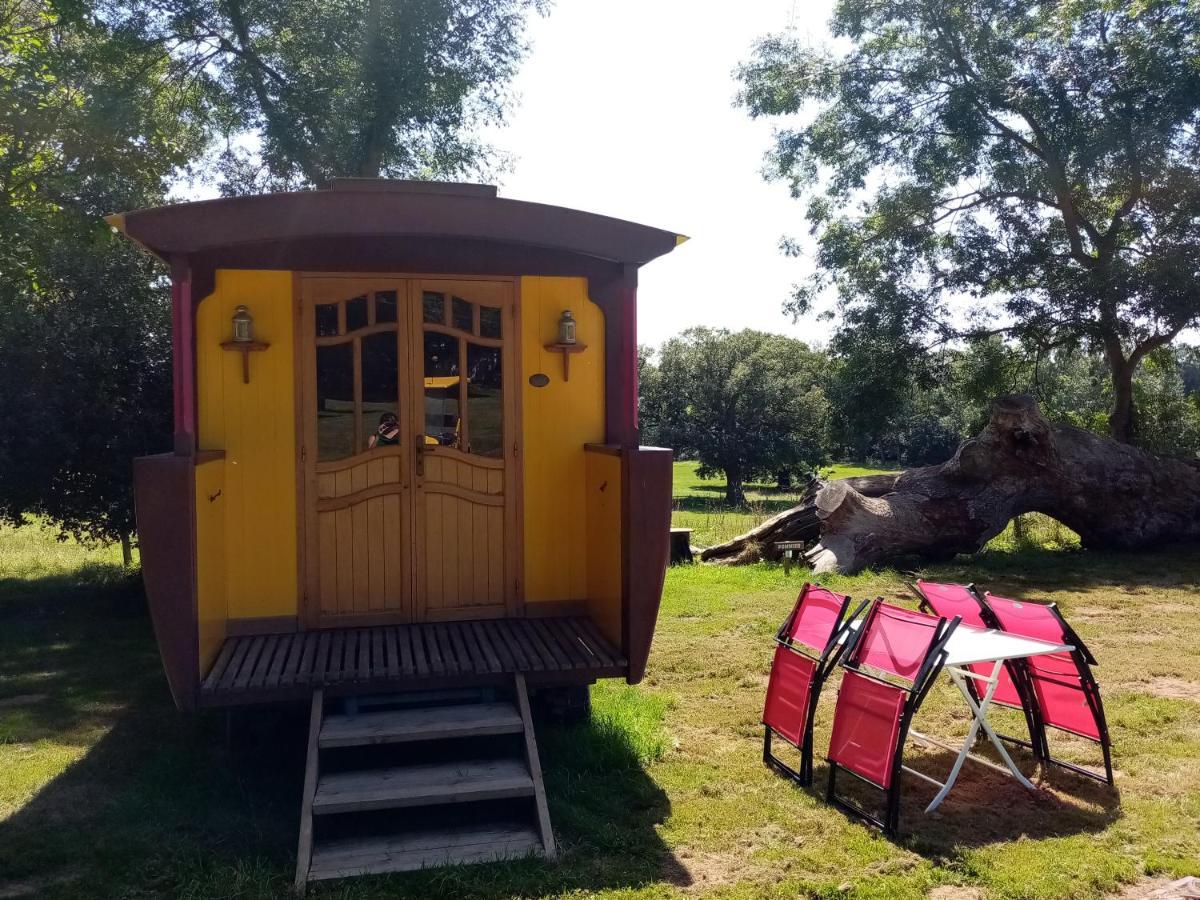 Camping La Bergerie Hotel La Chapelle-Achard Buitenkant foto